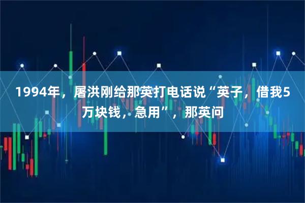 1994年，屠洪刚给那英打电话说“英子，借我5万块钱，急用”，那英问