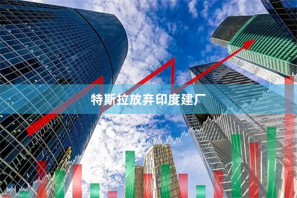 特斯拉放弃印度建厂