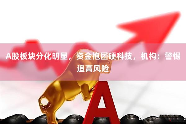 A股板块分化明显，资金抱团硬科技，机构：警惕追高风险