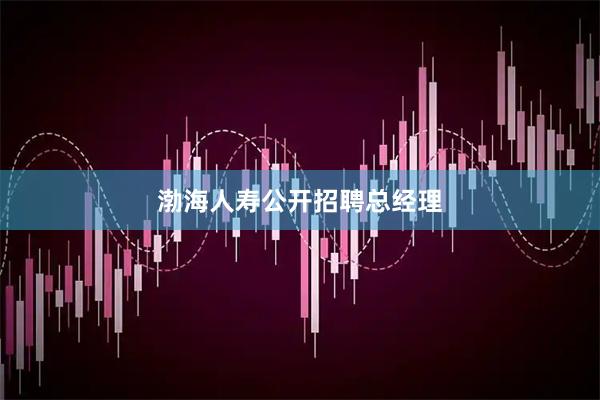 渤海人寿公开招聘总经理