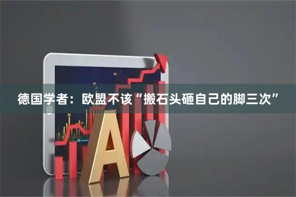 德国学者：欧盟不该“搬石头砸自己的脚三次”