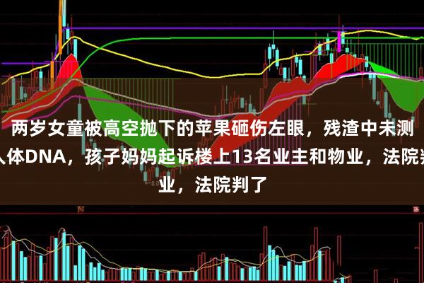 两岁女童被高空抛下的苹果砸伤左眼，残渣中未测出人体DNA，孩子妈妈起诉楼上13名业主和物业，法院判了